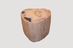 Petrified Wood Side Table