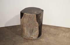 Andrianna Shamaris Petrified Wood Side Table