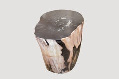Andrianna Shamaris Petrified Wood Side Table