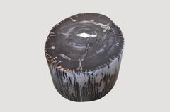 Petrified Wood Side Table