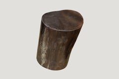 Andrianna Shamaris Super Smooth Petrified Wood Side Table