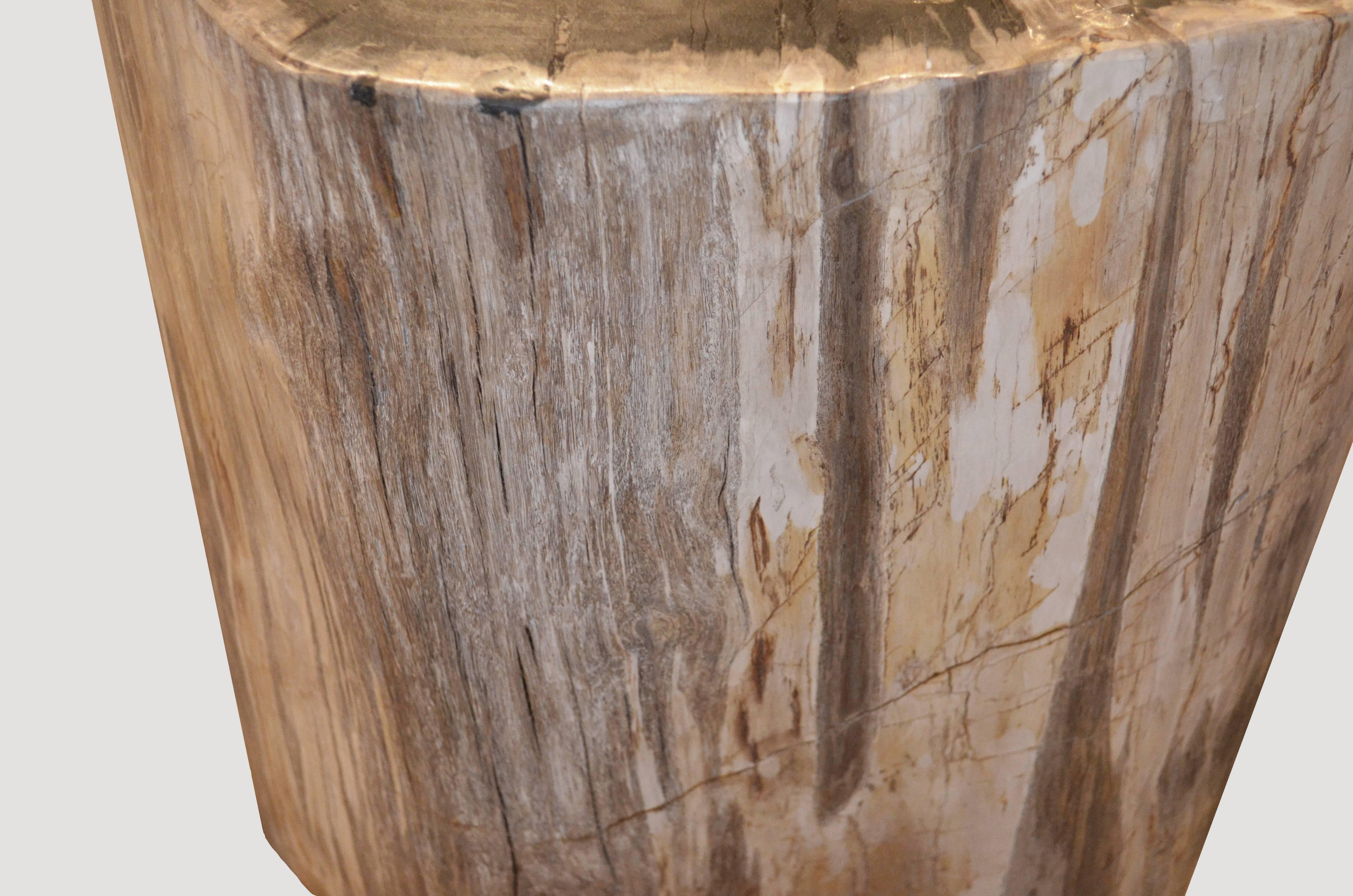 We source the highest quality petrified wood available. Each piece is hand-selected and highly polished with minimal cracks. Petrified wood is extremely versatile – even great inside a bathroom shower. Perfect as a cocktail table, side table or