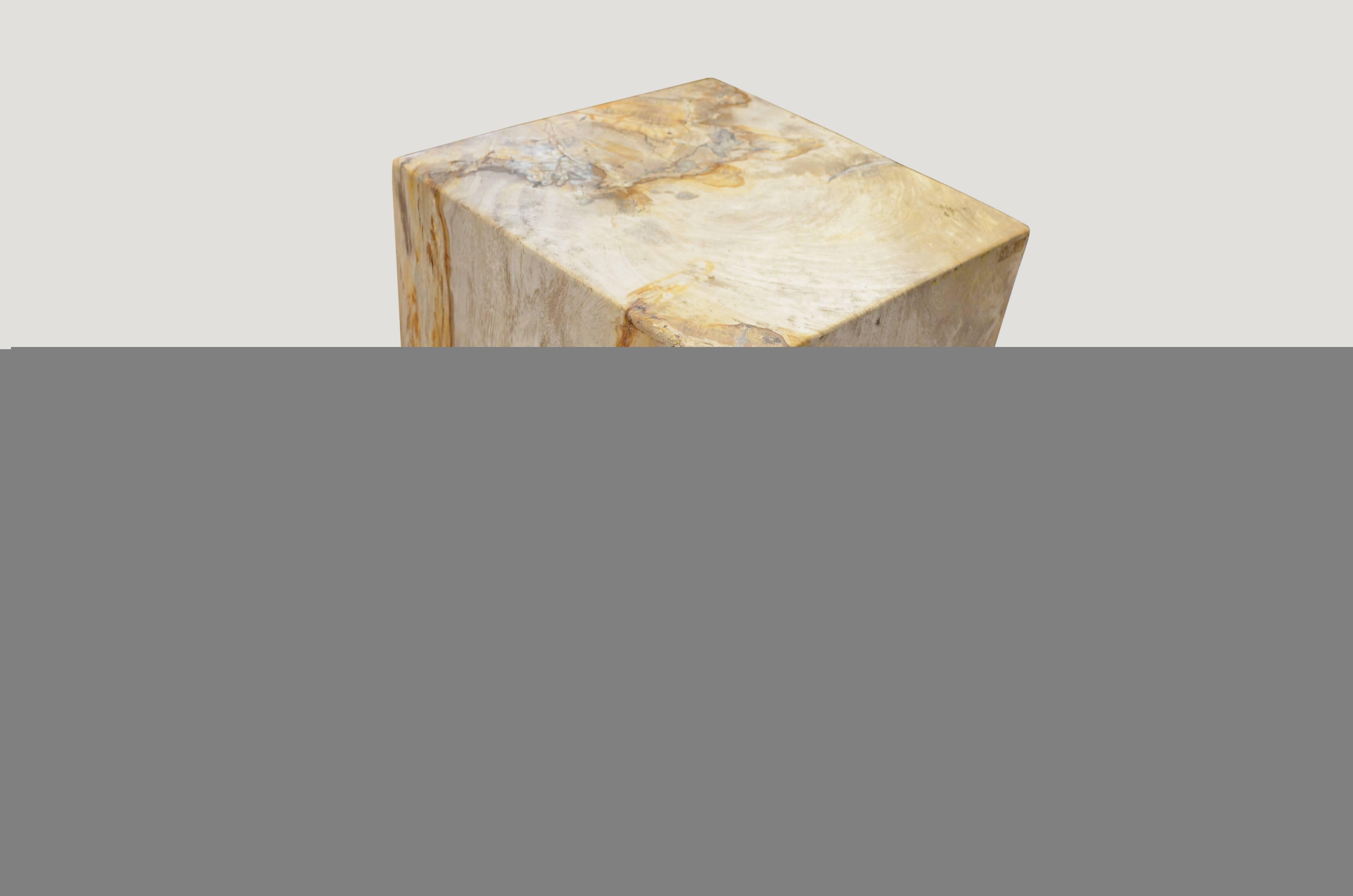 We source the highest quality petrified wood available. Each piece is hand selected and highly polished with minimal cracks. Petrified wood is extremely versatile even great inside a bathroom shower. Perfect as a cocktail table, side table or