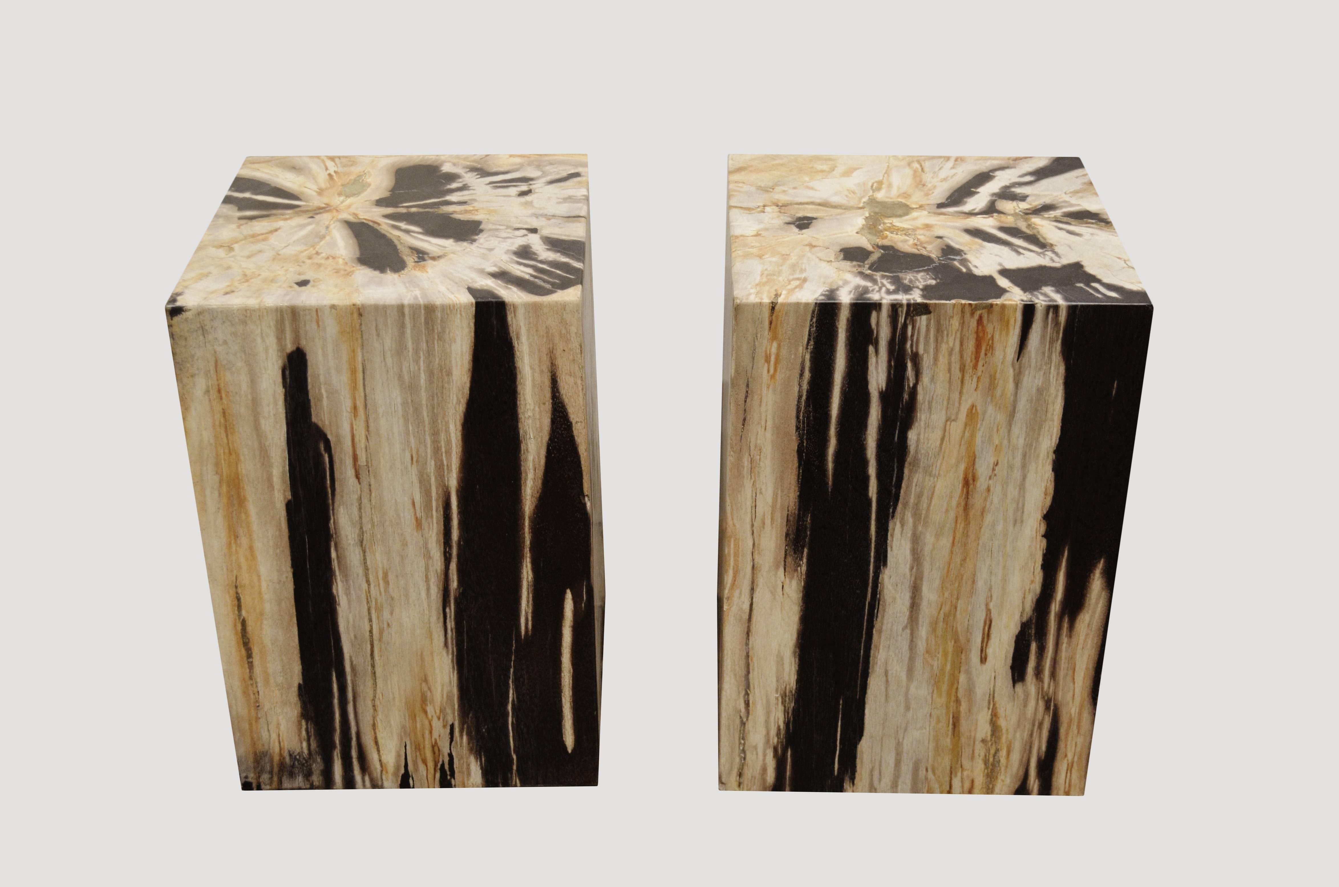 We source the highest quality petrified wood available. Each piece is hand-selected and highly polished with minimal cracks. Petrified wood is extremely versatile even great inside a bathroom shower. Perfect as a cocktail table, side table or