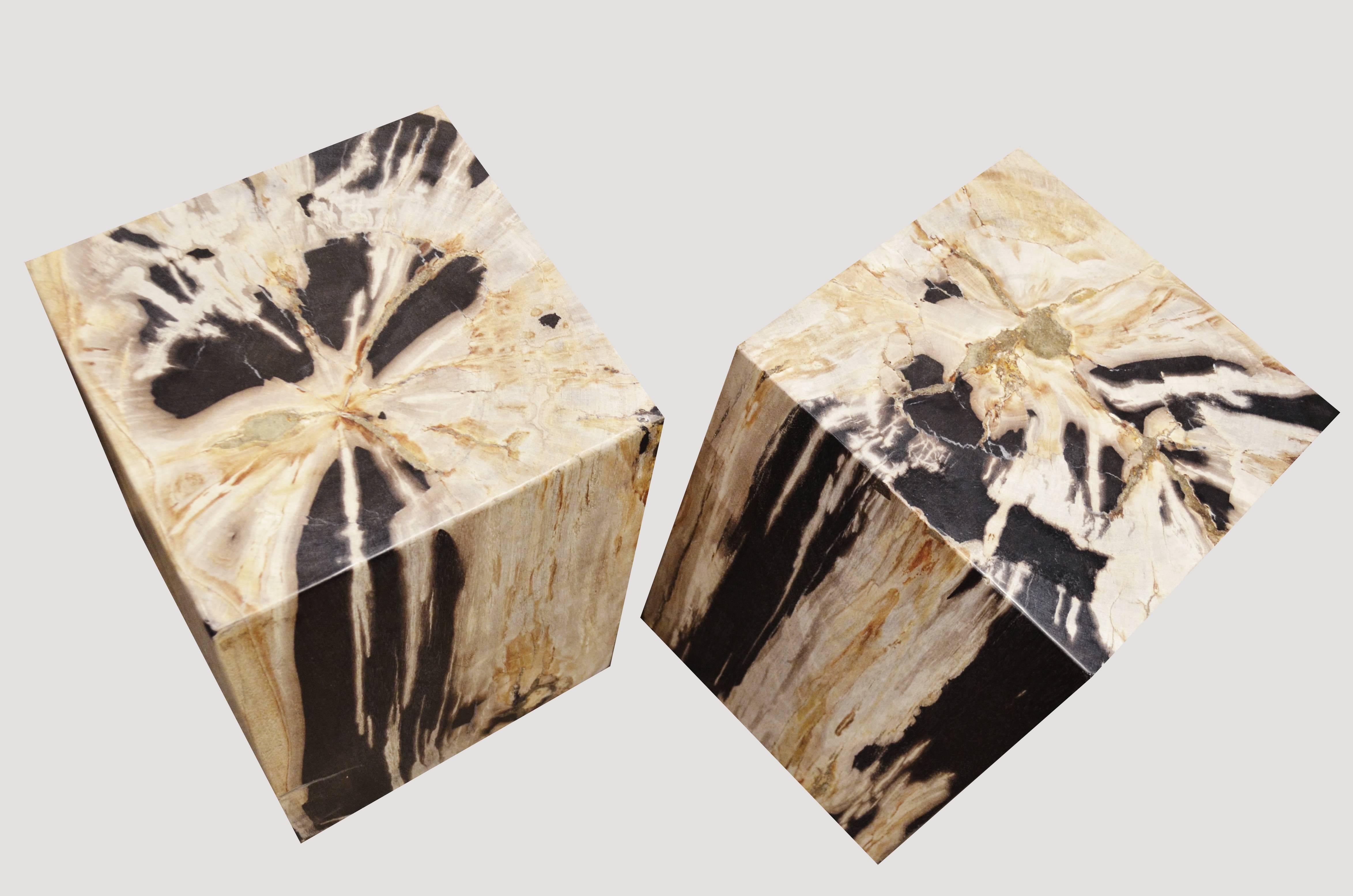 Organic Modern Andrianna Shamaris Petrified Wood Side Table