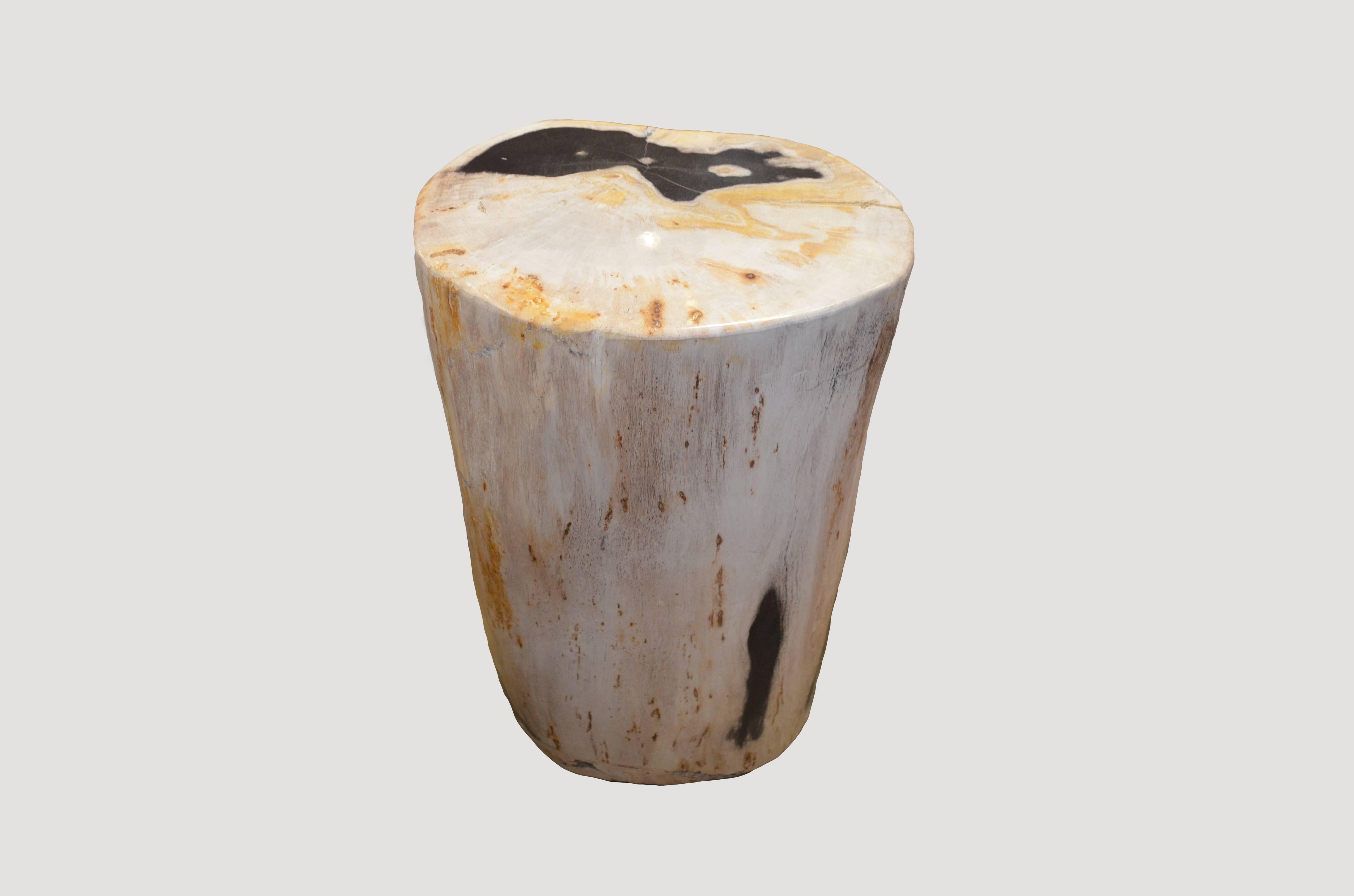 We source the highest quality petrified wood available. Each piece is hand-selected and highly polished with minimal cracks. Petrified wood is extremely versatile, even great inside a bathroom shower. Perfect as a cocktail table, side table or