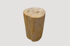 Petrified Wood Side Table