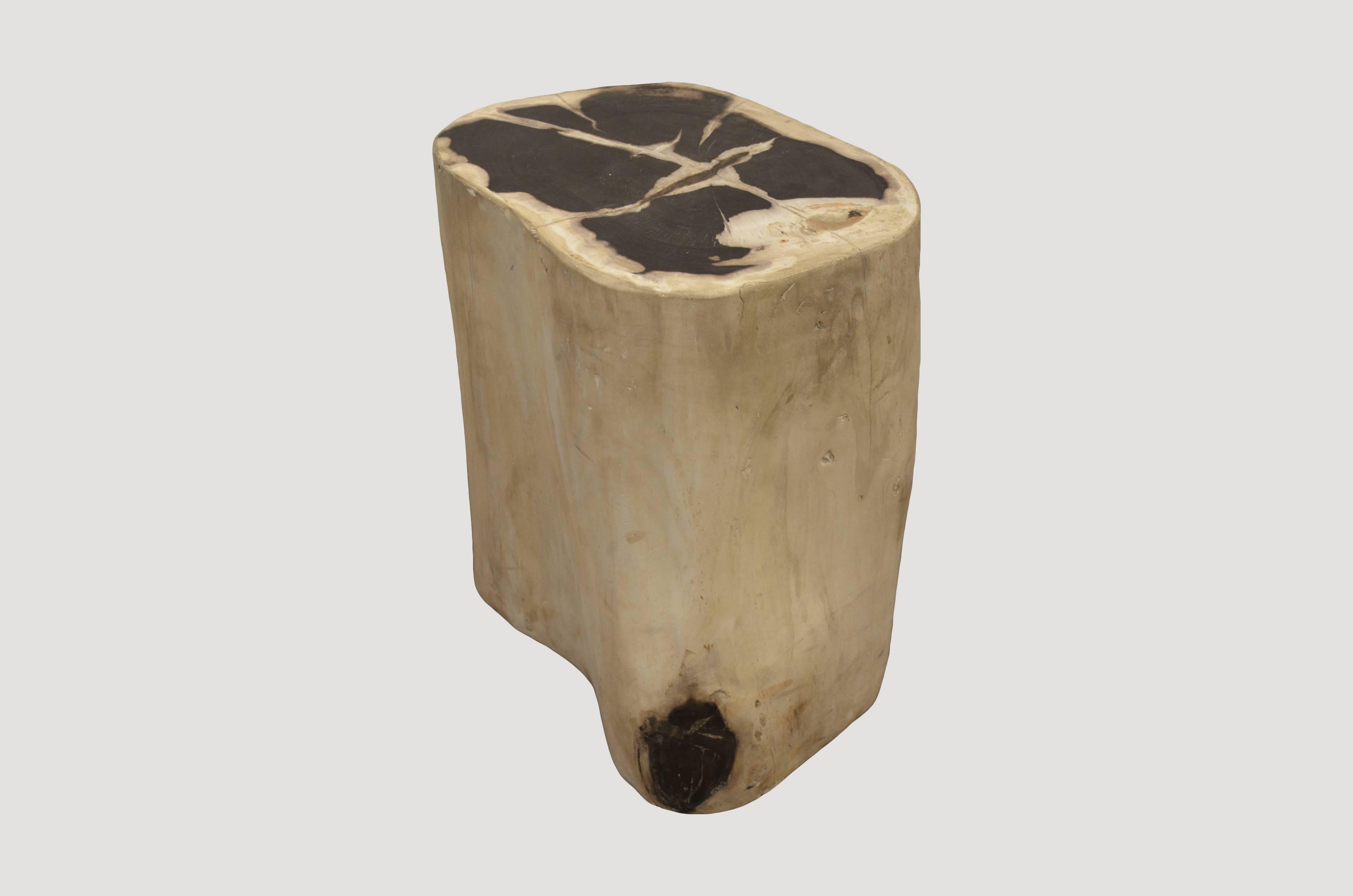 Organic Modern Andrianna Shamaris Petrified Wood Side Table