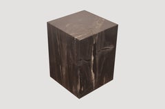 Andrianna Shamaris Petrified Wood Side Table