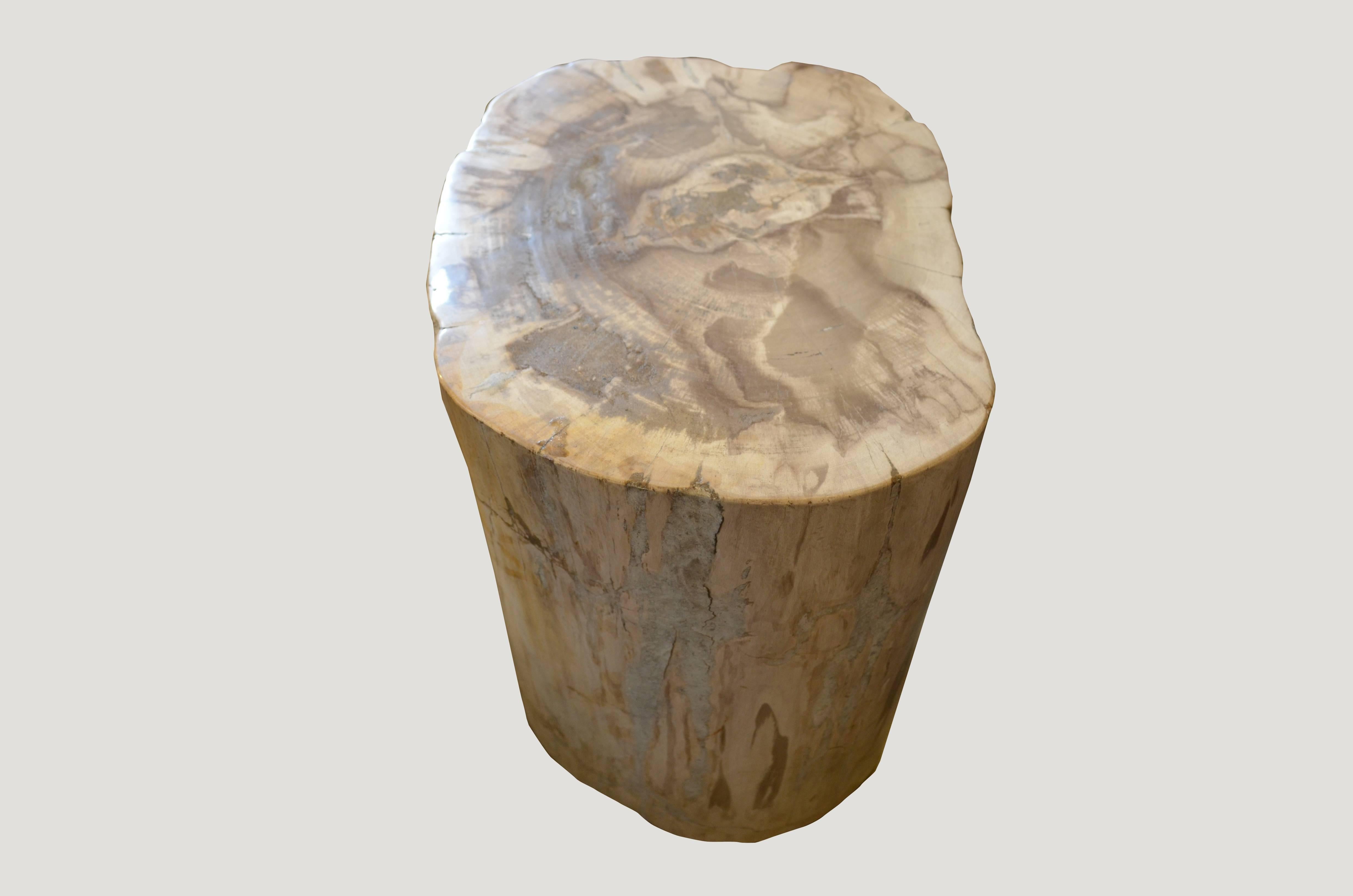 We source the highest quality petrified wood available. Each piece is hand selected and highly polished with minimal cracks. Petrified wood is extremely versatile even great inside a bathroom shower. Perfect as a cocktail table, side table or