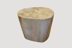 Andrianna Shamaris Petrified Wood Side Table