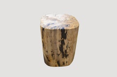 Andrianna Shamaris Petrified Wood Side Table