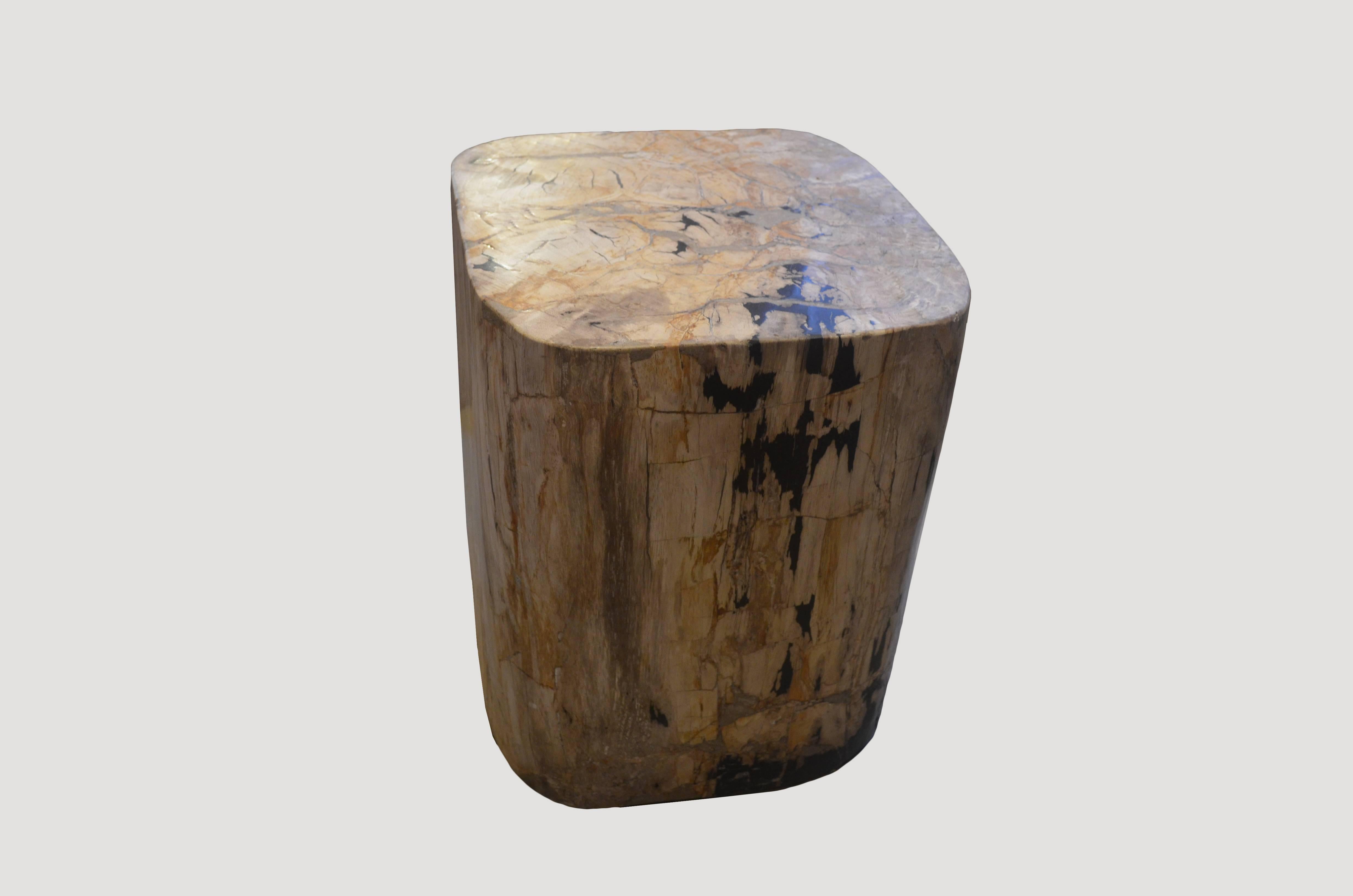 We source the highest quality petrified wood available. Each piece is hand-selected and highly polished with minimal cracks. Petrified wood is extremely versatile even great inside a bathroom shower. Perfect as a cocktail table, side table or