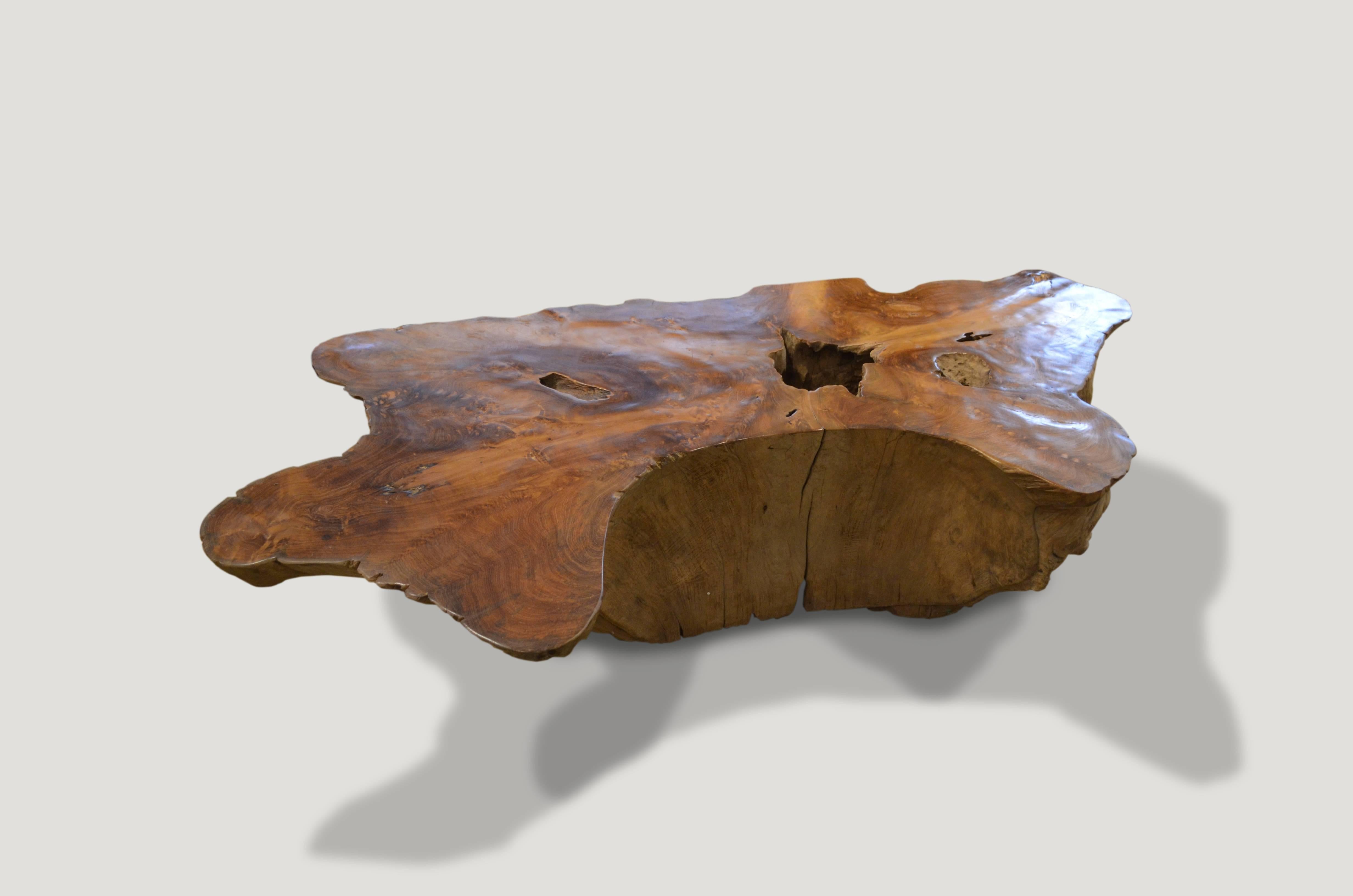 Andrianna Shamaris Teak Root Coffee Table In Excellent Condition In New York, NY