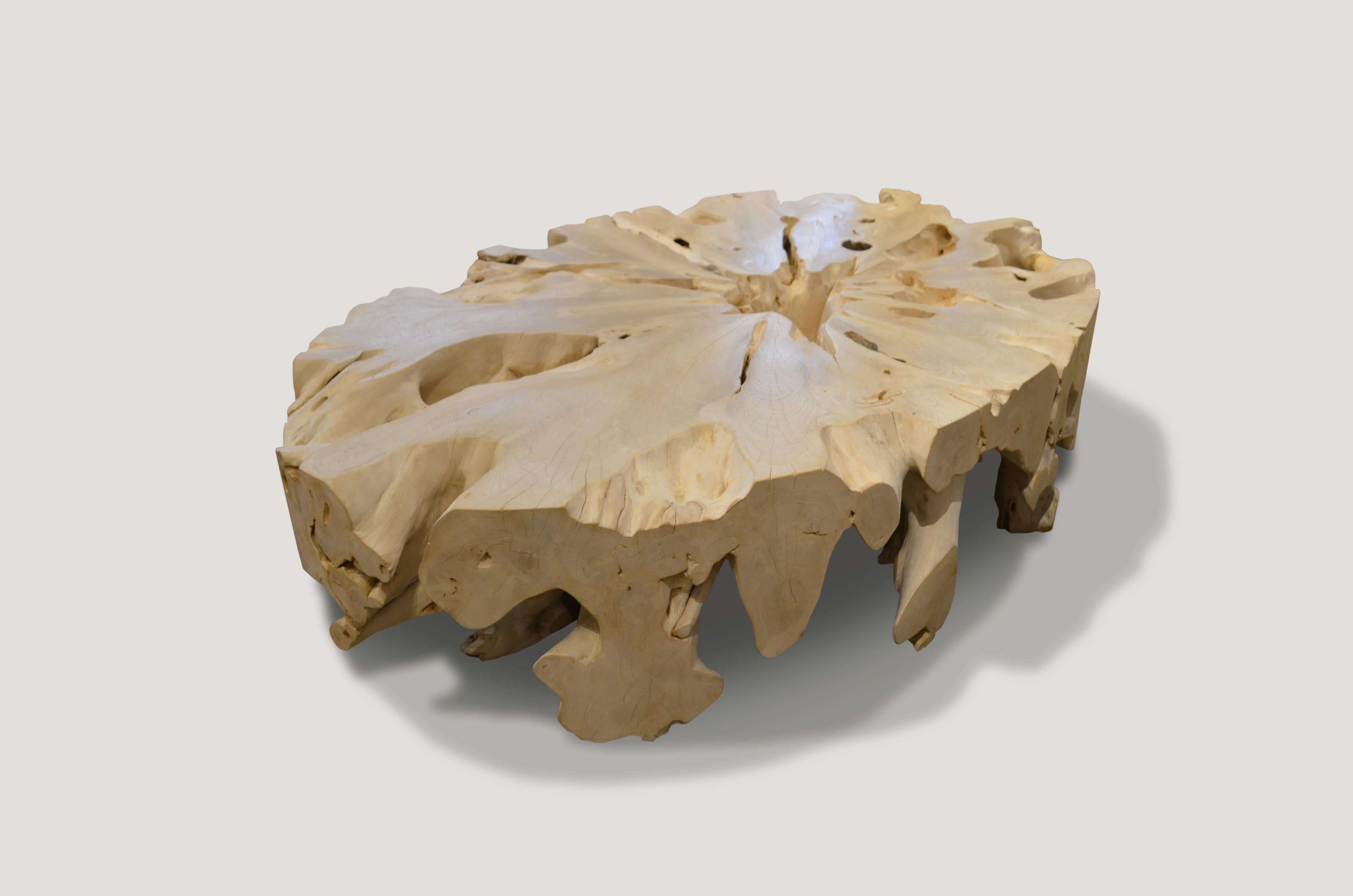 Impressive, single root teak wood coffee table. The reclaimed teak wood is bleached and left to bake in the sun and sea salt air for over a year to achieve this unique finish. We have added a light shellac to the top and flat side sections for a