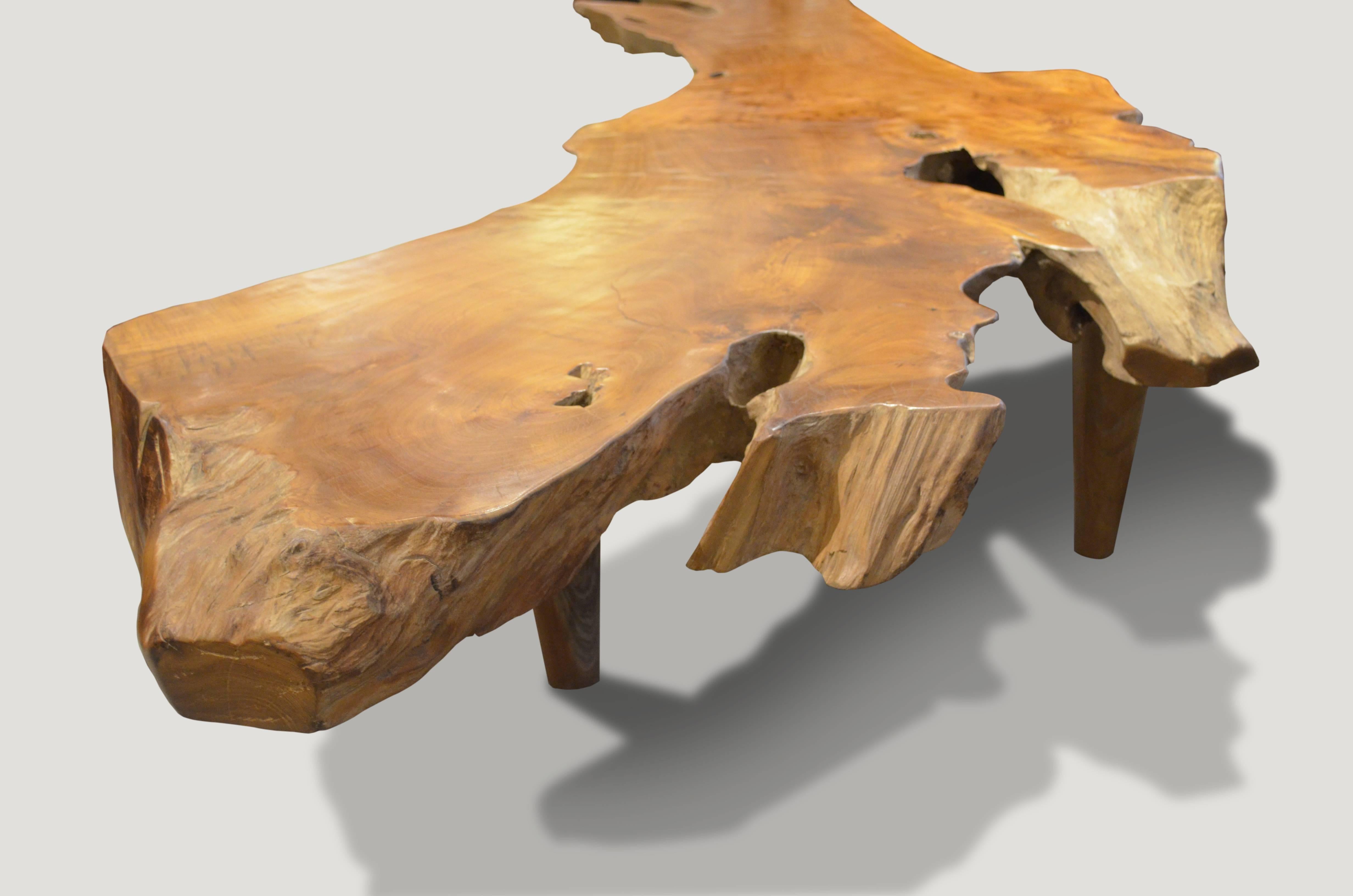 Andrianna Shamaris Single Slab Teak Wood Coffee Table or Bench 3