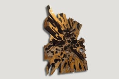 Andrianna Shamaris Impressive Teak Wood Root Art or Coffee Table