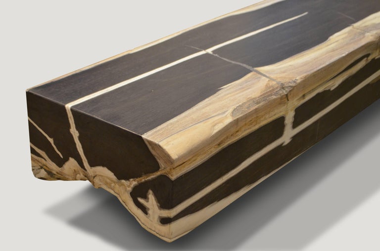 Andrianna Shamaris Super Smooth Petrified Wood Log Bench at 1stDibs