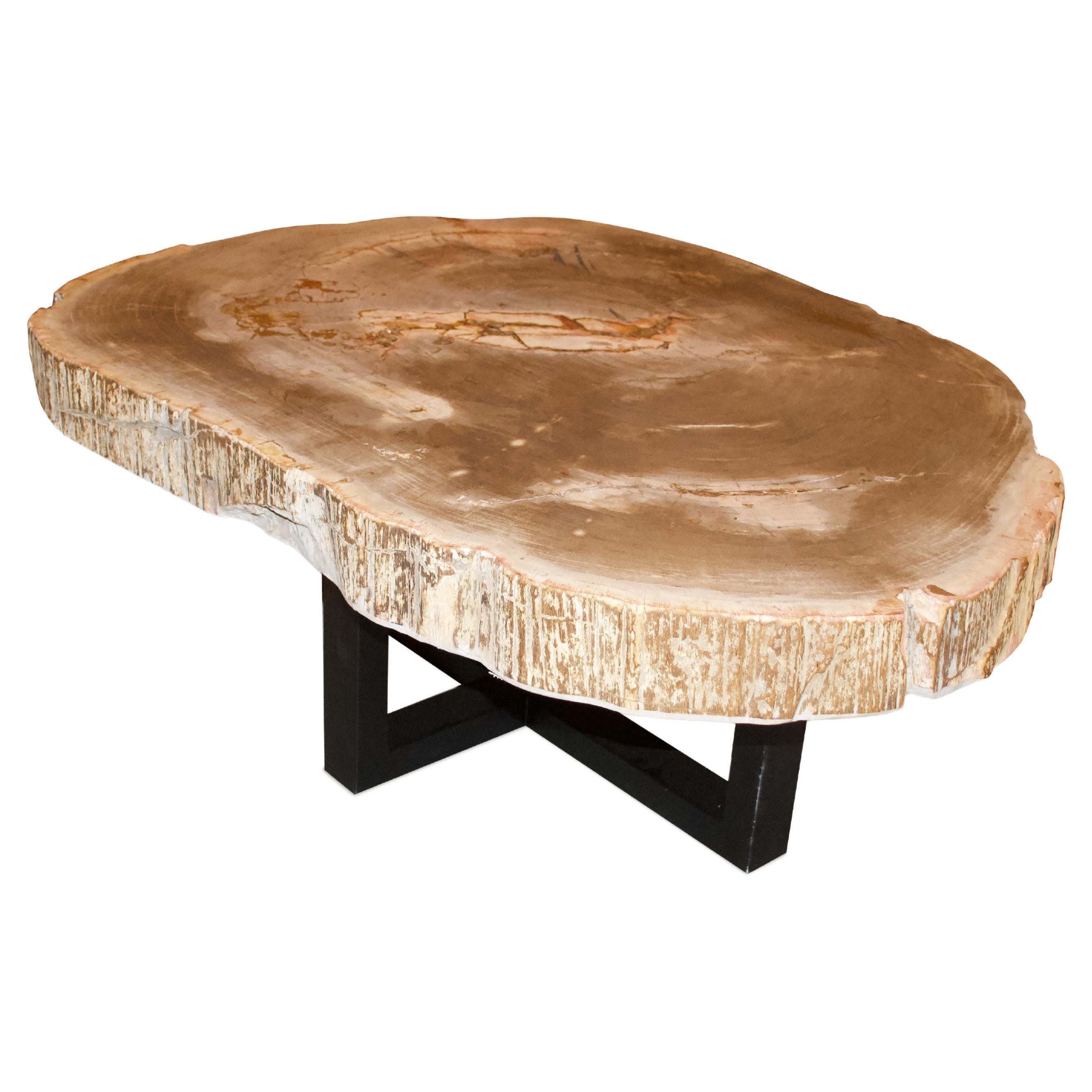 Andrianna Shamaris Rare table basse en dalle de bois pétrifié de haute qualité