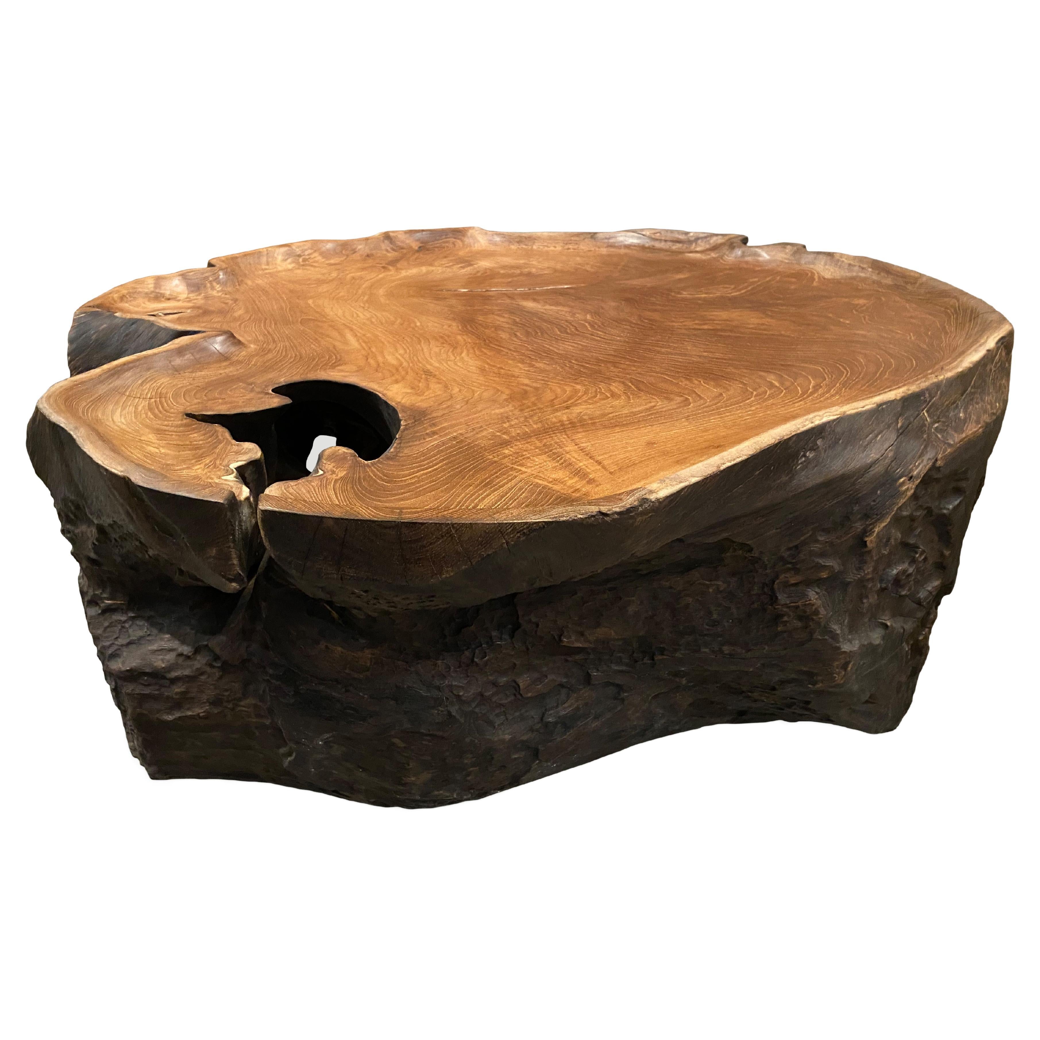 Table basse unique en bois de teck calciné Andrianna Shamaris en vente