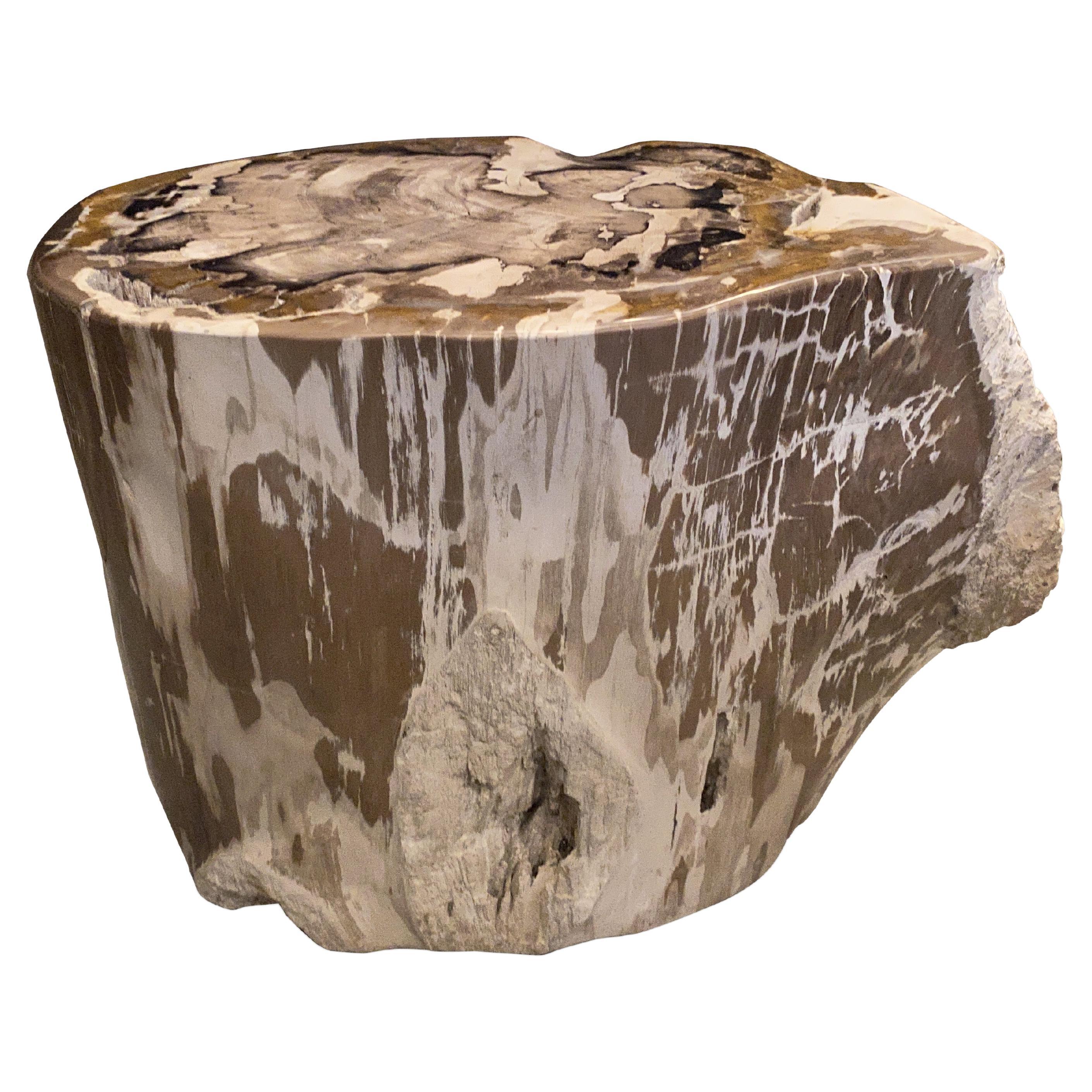 Petrified Wood Side Tables at 1stDibs