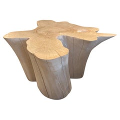 Andrianna Shamaris Amorphous Bleached Teak Wood Coffee Table