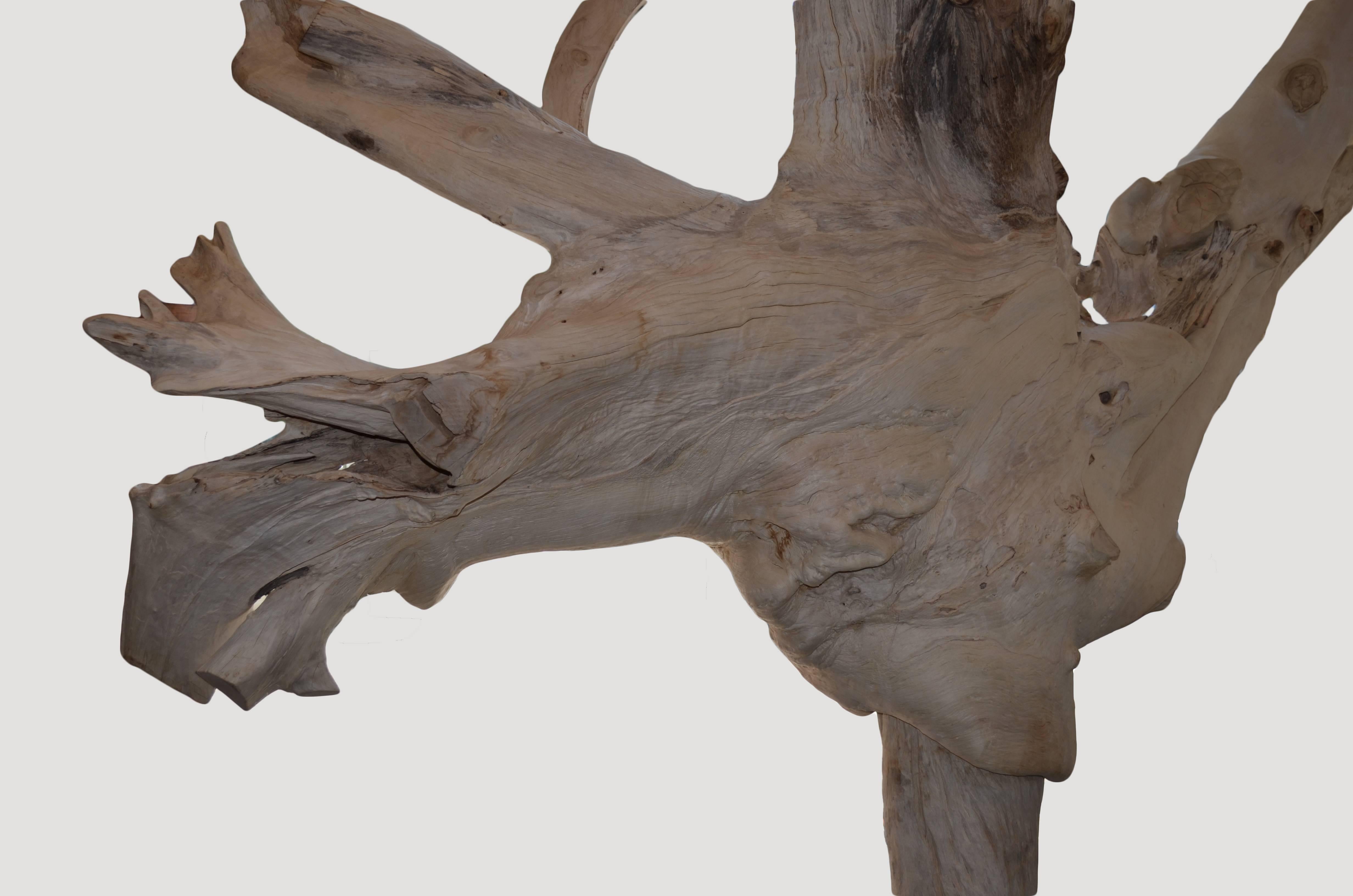 teak root sculpture