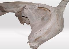 Andrianna Shamaris Organic Teak Wood 'Horse' Sculpture