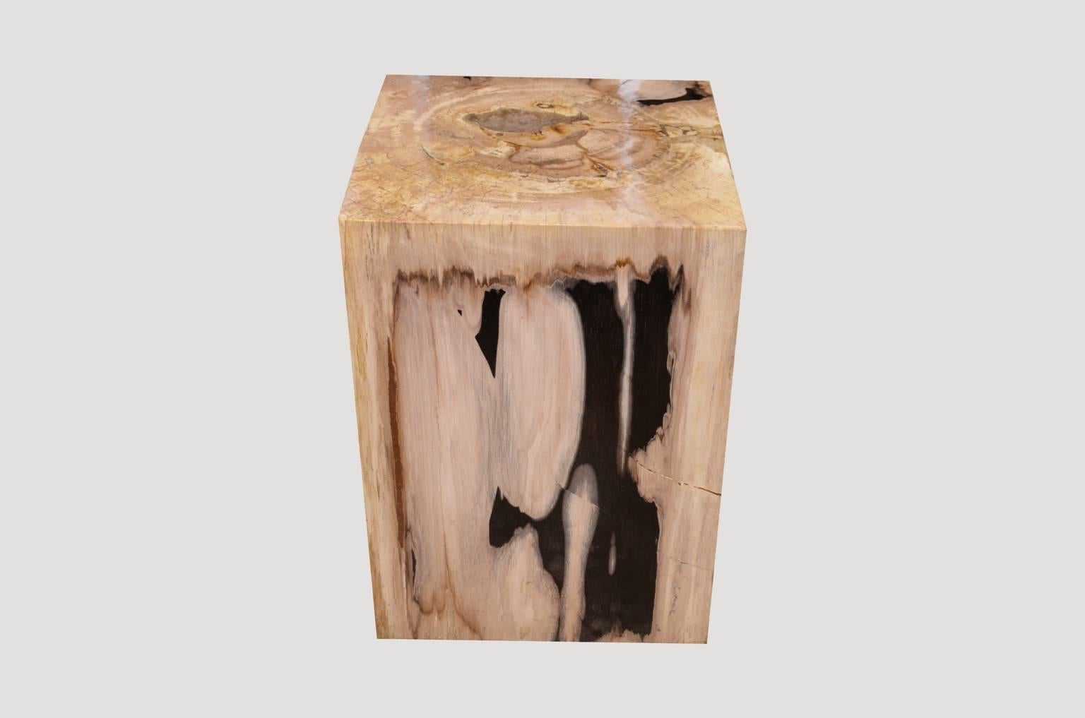 We source the highest quality petrified wood available. Each piece is hand-selected and highly polished with minimal cracks. Petrified wood is extremely versatile – even great inside a bathroom shower. Perfect as a cocktail table, side table or