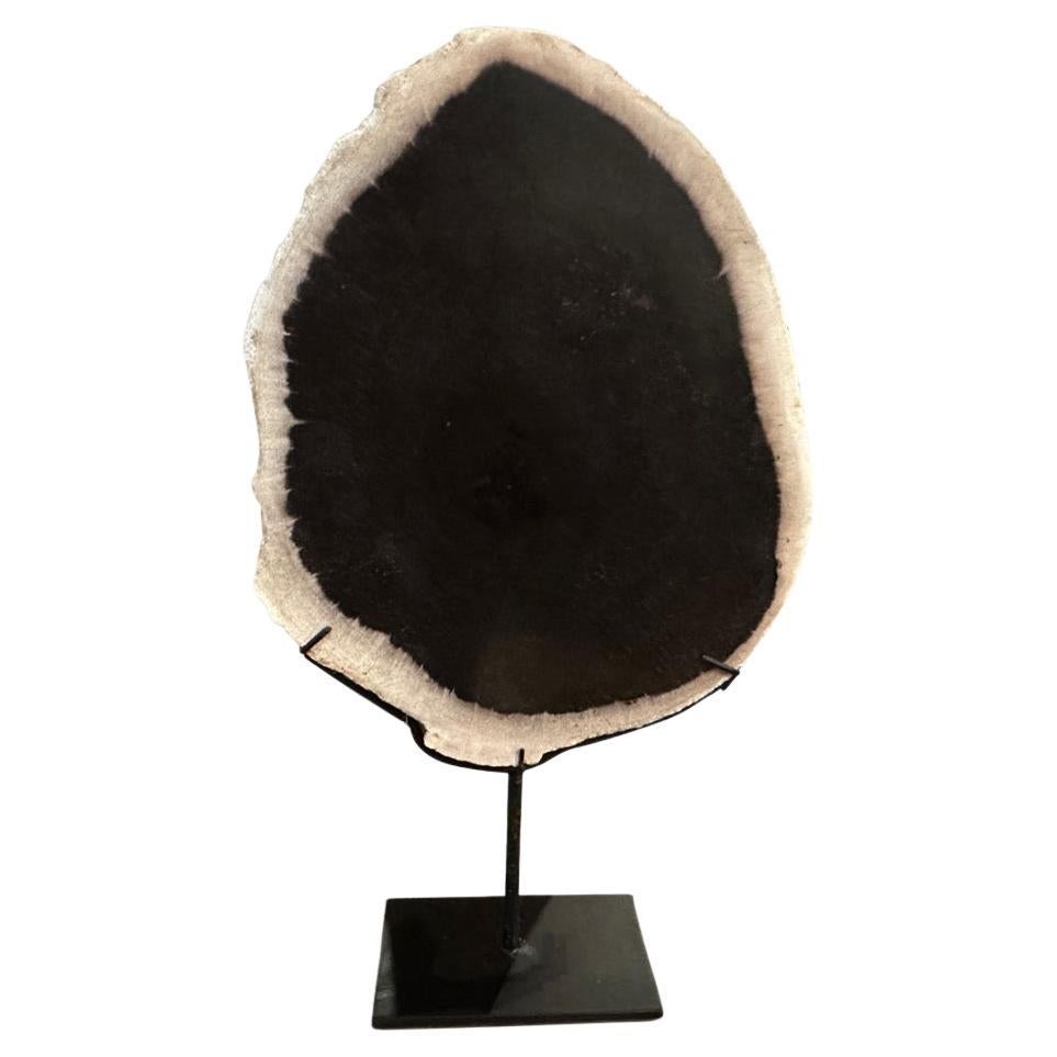 Andrianna Shamaris Minimalist Petrified Wood on Stand For Sale