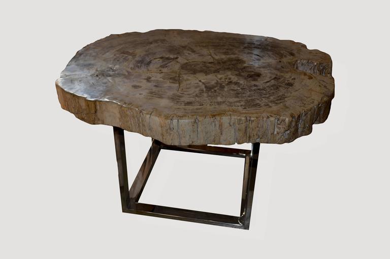 Petrified Wood Slab Table For Sale at 1stdibs