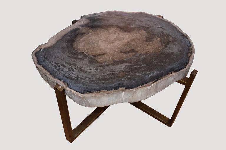 Organic Modern Grey and Beige Petrified Wood Slab Table