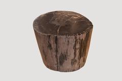 Petrified Wood Side Table