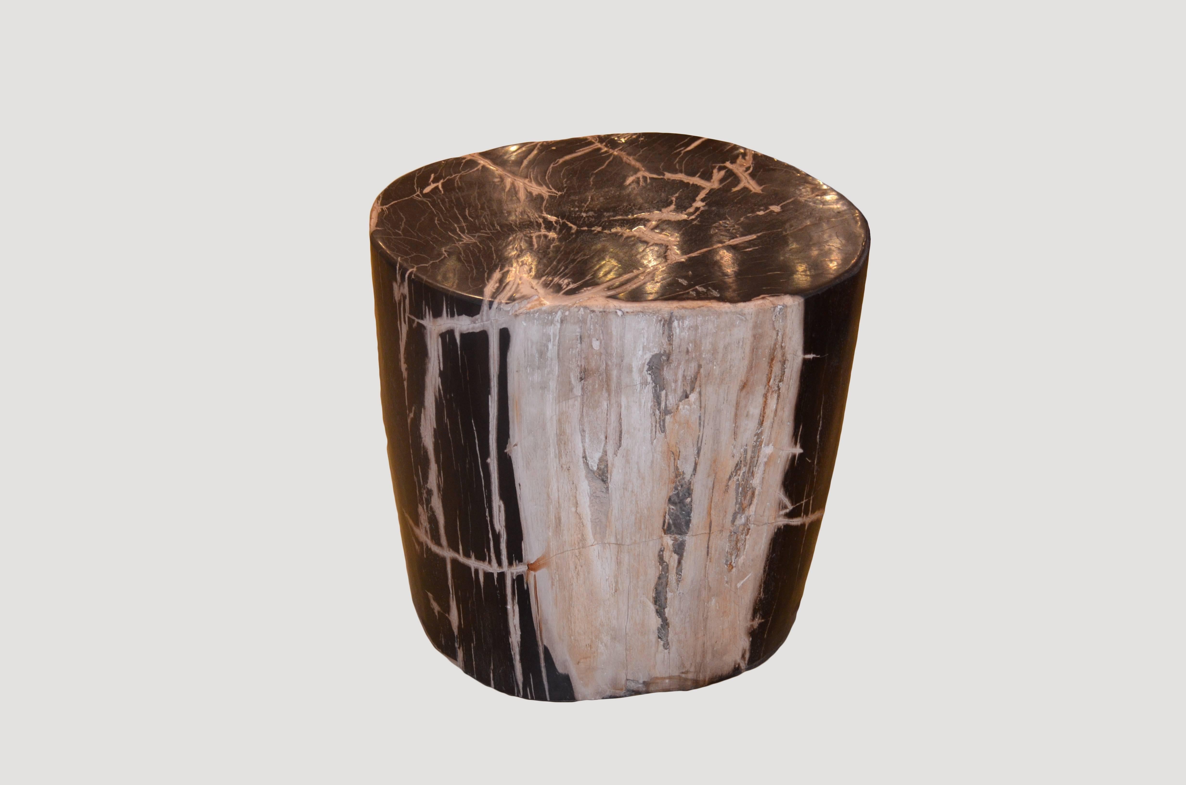 Organic Modern Petrified Wood Side Table