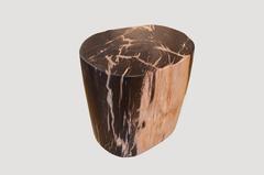 Petrified Wood Side Table