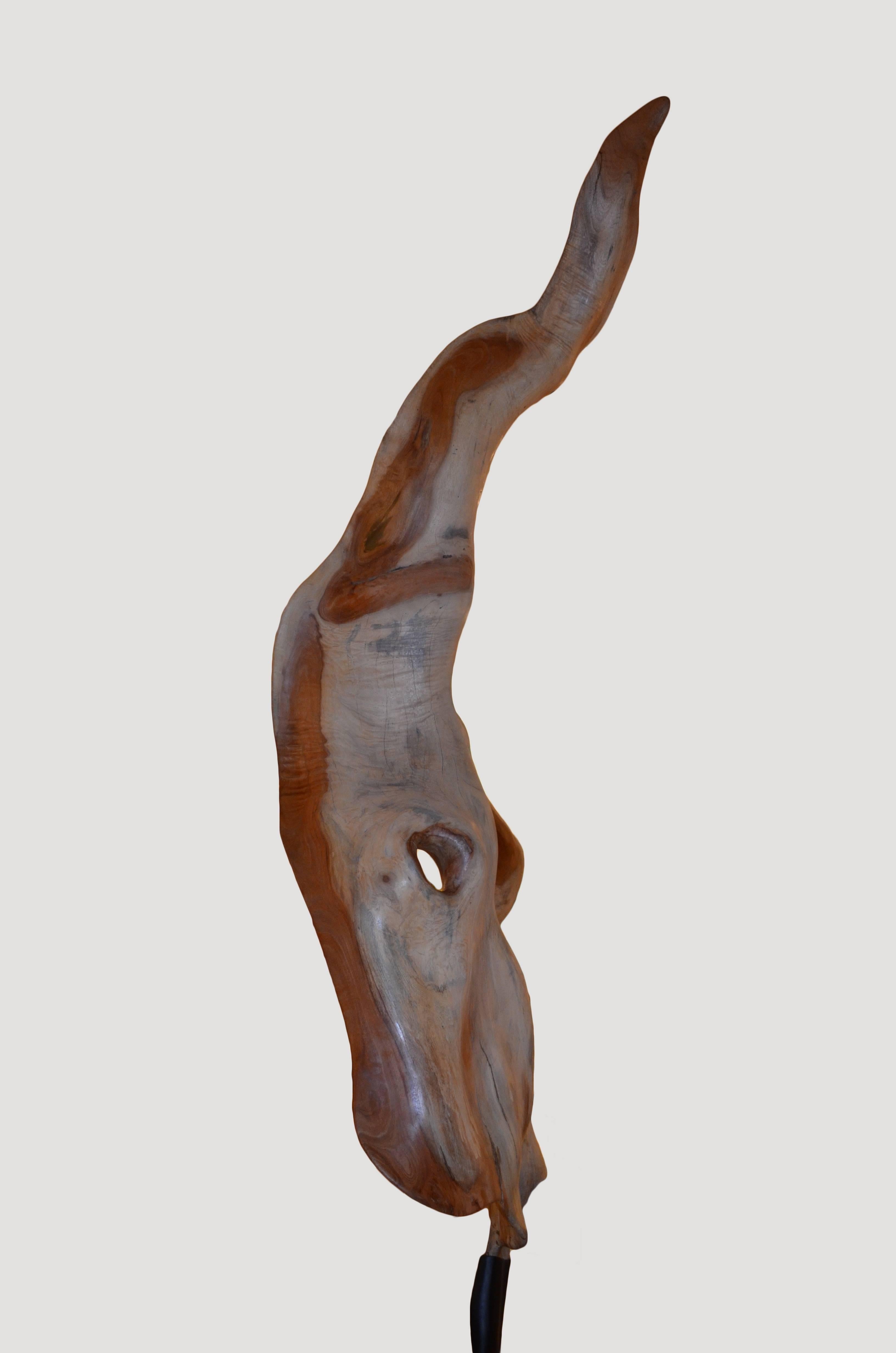Andrianna Shamaris Jackfruit-Baumblatt-Skulptur im Zustand „Hervorragend“ im Angebot in New York, NY