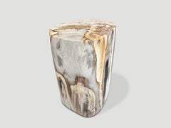 Andrianna Shamaris Ancient Petrified Wood Side Table