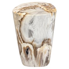 Ancienne table d'appoint Andrianna Shamaris en bois pétrifié