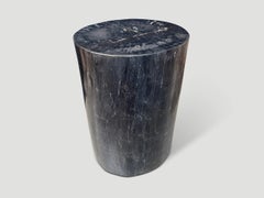 Andrianna Shamaris Minimalist High Quality Petrified Wood Side Table