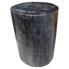 Andrianna Shamaris Minimalist High Quality Petrified Wood Side Table