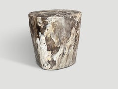 Andrianna Shamaris Ancient Petrified Wood Side Table