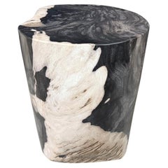Andrianna Shamaris Modern Organic Petrified Wood Side Table