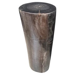 Andrianna Shamaris Minimalist Column Petrified Wood Side Table