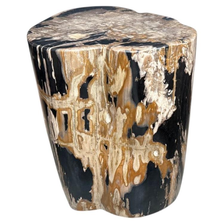 Andrianna Shamaris Impressive High Quality Ancient Petrified Wood Side Table For Sale
