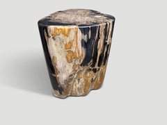 Andrianna Shamaris Impressive High Quality Ancient Petrified Wood Side Table