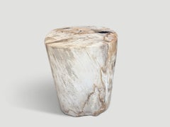 Andrianna Shamaris Ancient Petrified Wood Side Table
