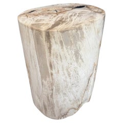 Andrianna Shamaris Ancient Petrified Wood Side Table