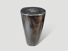 Andrianna Shamaris Minimalist Column Petrified Wood Side Table
