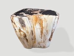 Andrianna Shamaris Modern Organic Petrified Wood Side Table