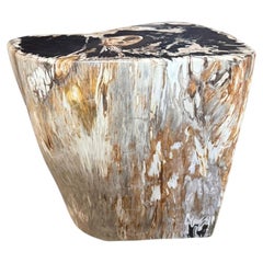 Andrianna Shamaris Modern Organic Petrified Wood Side Table